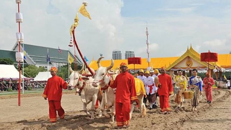 ประวัติความสำคัญ "วันพืชมงคล" พิธีแรกนาขวัญ !