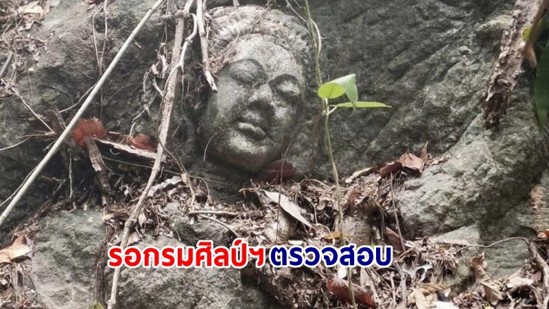 ฮือฮา ! "ชาวบุรีรัมย์" เข้าป่าหาเห็ดบนเขากระเจียว เจอศิลาแกะสลักโบราณ รอกรมศิลป์ฯ ตรวจสอบ