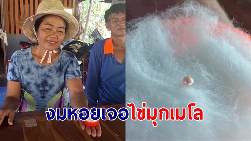 ฮือฮา! "ไข่มุกเมโลจิ๋ว" เม็ดเล็กเท่าพริกไทย ชาวบ้านงมหอยเจอที่หนองน้ำคำชะโนด