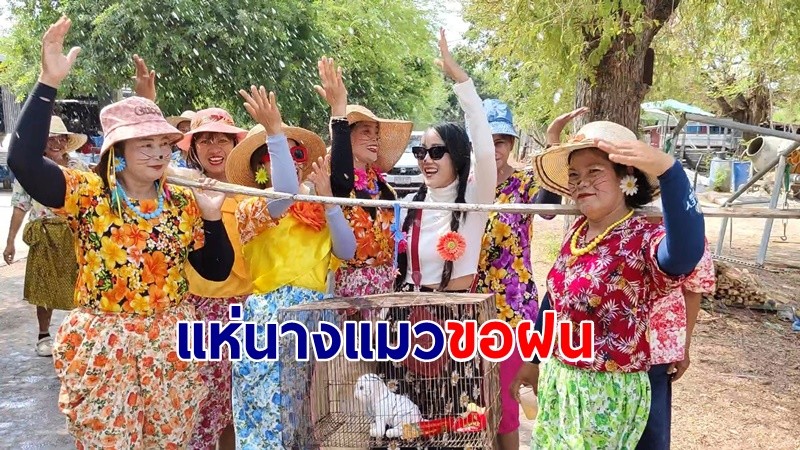 สุพรรณบุรีแล้งจัด ชาวบ้านหนองกุฏิทนไม่ไหวแห่นางแมวขอฝนเทวดาช่วยเกษตร 