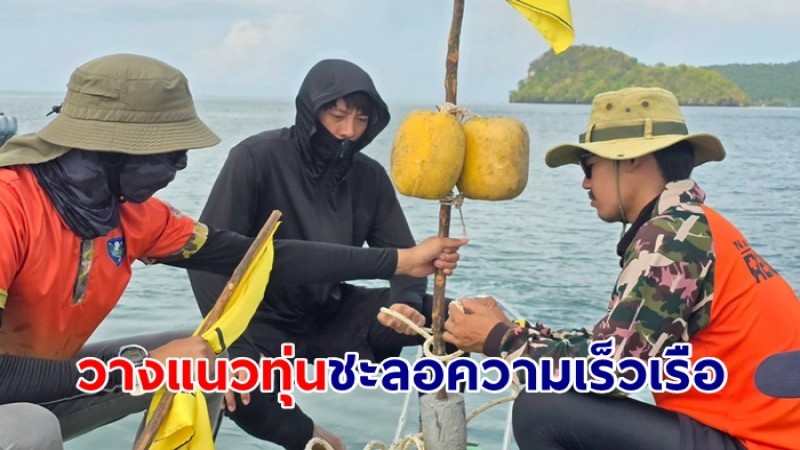 อช.นพรัตน์ธารา-หมู่เกาะพีพี วางแนวทุ่นชะลอความเร็วเรือ พร้อมประชาสัมพันธ์เส้นทางอพยพพะยูน