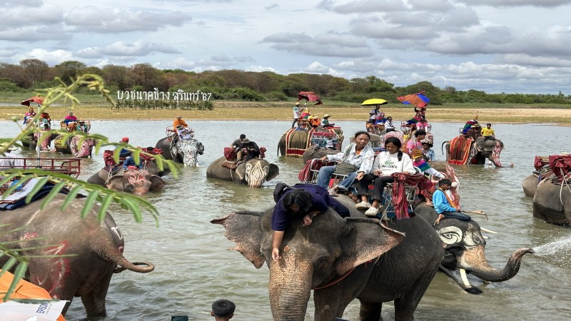 สุรินทร์จัดงานบุญบวชนาคช้าง ยิ่งใหญ่  ประเพณีบวชนาคช้าง ประจำปี 2567 แสดงให้เห็นถึงวิถีชีวิตที่มีความผูกพัน