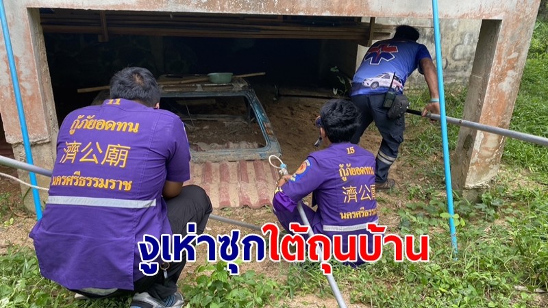 ผวา! งูเห่าซุกโพรงดินใต้ถุนบ้าน หวั่นสร้างรังฟักลูกงู