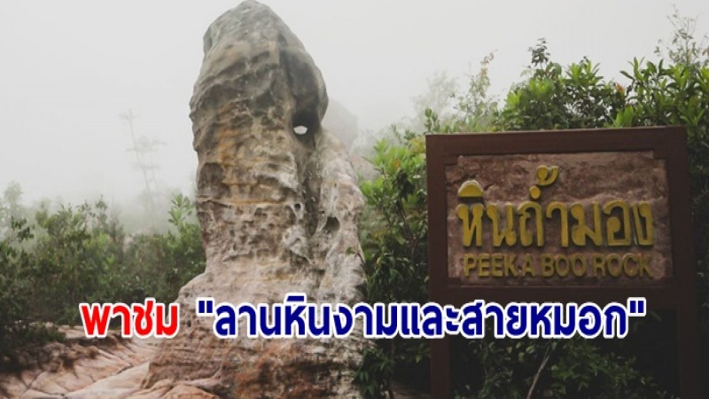 พาชม "ลานหินงามและสายหมอก" อุทยานแห่งชาติป่าหินงาม