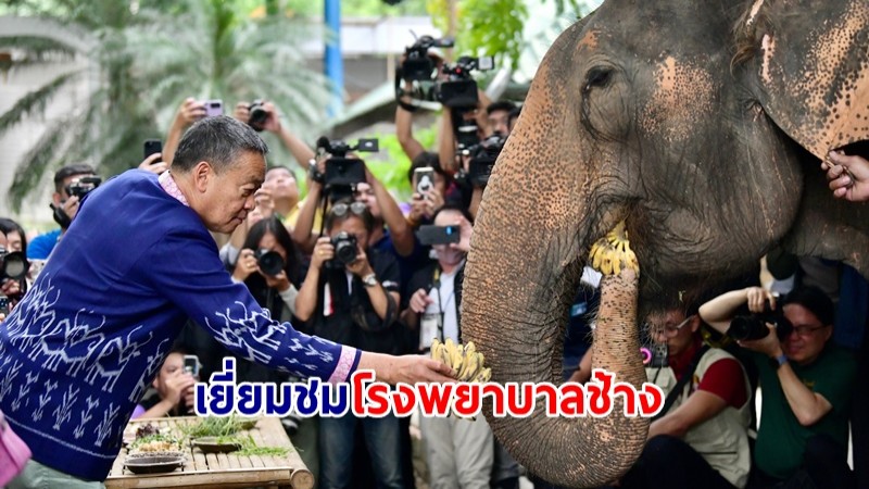 นายกฯ ลงพื้นที่ รพ.ช้าง เยี่ยม "พลายศักดิ์สุรินทร์" ณ ศูนย์อนุรักษ์ช้างไทย