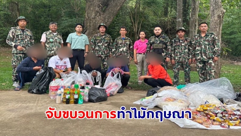 จับขบวนการทำไม้กฤษณา ในอุทยานแห่งชาติเขาใหญ่ พบอุปกรณ์กระทำผิดและเครื่องยังชีพจำนวนมาก