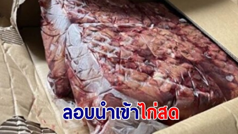 จนท.จับกุมไก่สดลอบนำเข้าผิดกฎหมาย หนักกว่า 6 ตัน