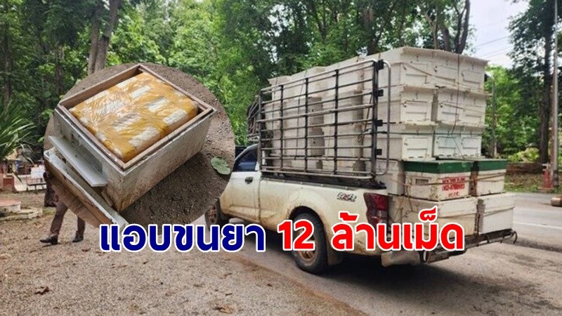 "ตำรวจ" สกัดจับ ลักลอบขนยาแอบซุกลังเลี้ยงผึ้ง  ยึดได้ 12 ล้านเม็ด !