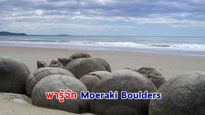เปิดความรู้ Moeraki Boulders ก้อนหินริมชายหาด Koekohe ทำไมมันถึงมีรูปร่างอ้วนลมแบบนี้