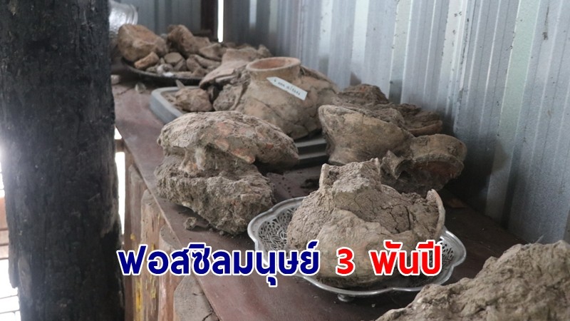 เชิญเที่ยวชมโครงกระดูกและฟอสซิลมนุษย์โบราณอายุกว่า 3 พันปี  ที่พิพิธภัณฑ์ วัดแก้วกระจ่าง