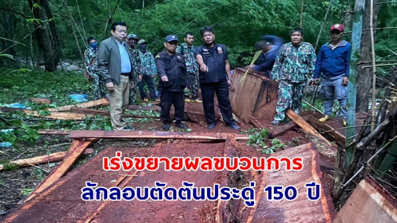 เร่งขยายผลขบวนการลักลอบตัดต้นประดู่ 150 ปี ในเขตรักษาพันธุ์สัตว์ป่าลุ่มน้ำปาย