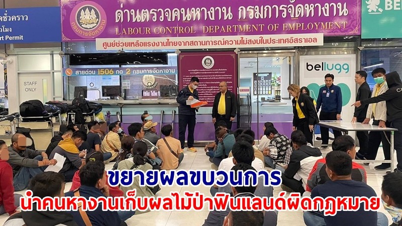 กรมการจัดหางาน สั่งขยายผลขบวนการนำคนหางานเก็บผลไม้ป่าฟินแลนด์ผิดกฎหมาย