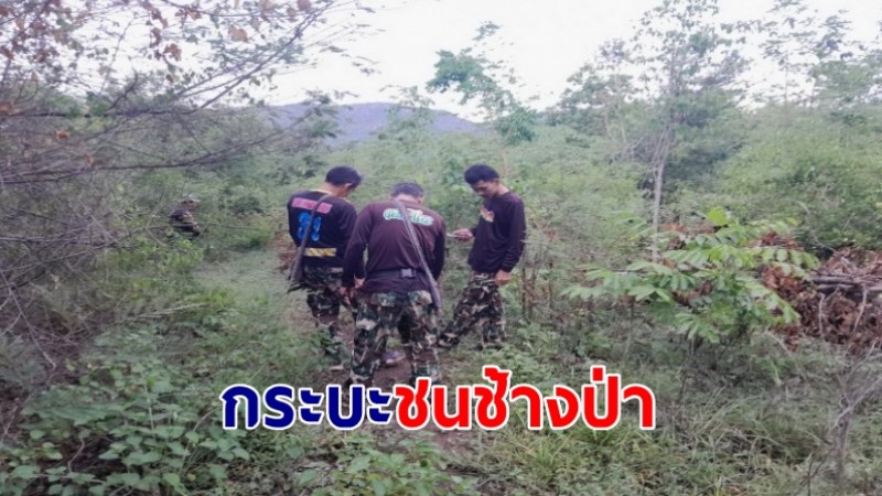 กระบะพุ่งชนช้างป่าสลักพระ คนขับเจ็บ รถพังยับ