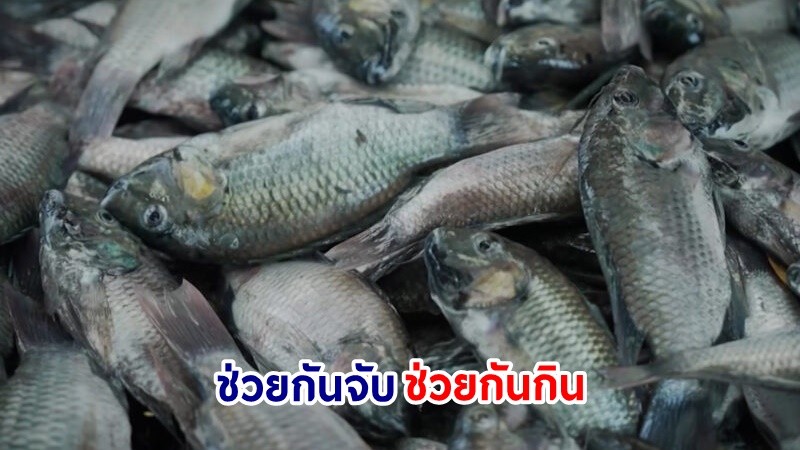 ราชทัณฑ์สั่งใช้ "ปลาหมอคางดำ" ทำอาหารเลี้ยงนักโทษทุกเรือนจำ