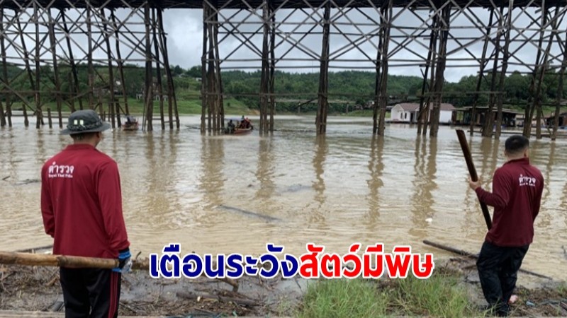 กาญจนบุรีฝนยังตกต่อเนื่อง! เตือน ปชช.ชาวกาญจน์ ระวังสัตว์มีพิษหนีภัยน้ำท่วม