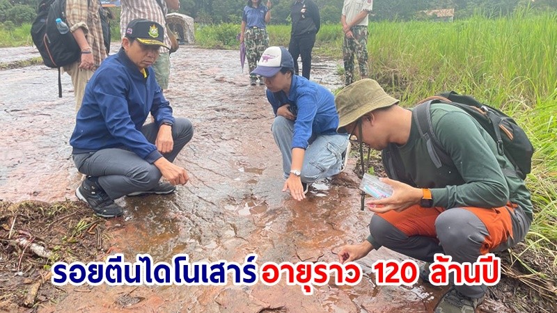 ฮือฮา! "ภูหินร่องกล้า" พบรอยตีนไดโนเสาร์ นักโบราณคดีคาดอายุ 120 ล้านปี