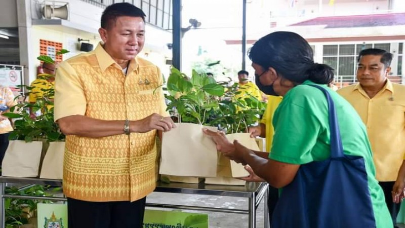 ชลบุรี จัดอบรมเชิงปฏิบัติกาตรหลักสูตรผู้จัดการการดูแลผู้สูงอายุที่มีภาวะพึ่งพิง (Care Manager)