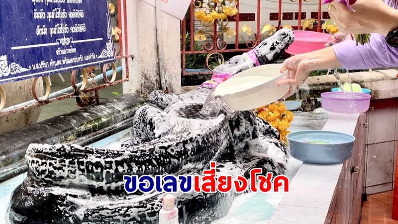 โค้งสุดท้าย สายมูแห่ “อาบน้ำจระเข้” ขอเลขมงคลเสี่ยงโชคลุ้นรวย