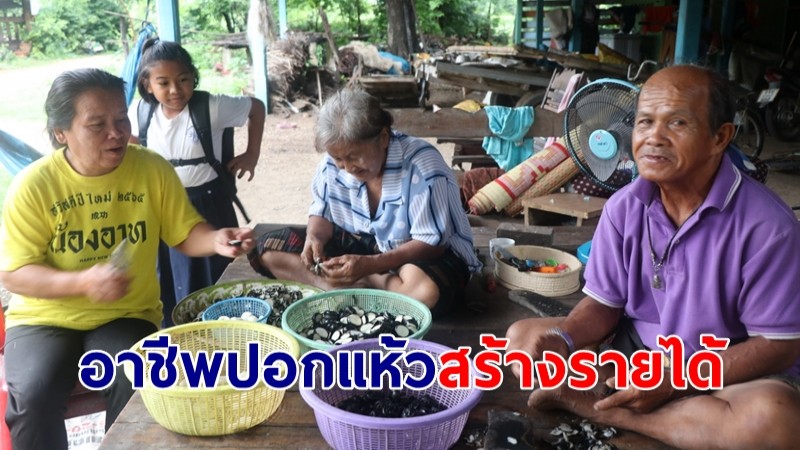 เปิด "อาชีพปอกแห้ว" สร้างรายได้ให้ชาวบ้าน นำส่งตลาด-เข้าโรงงานแปรรูป 