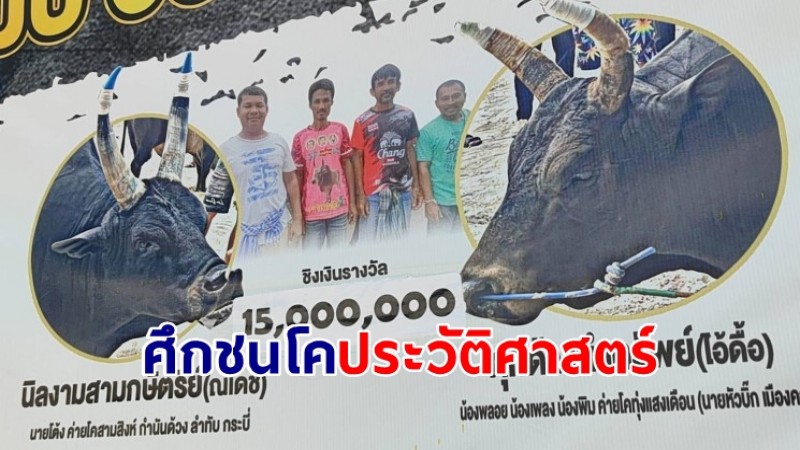 คอโคชนเตรียมเชียร์! ศึกชนโคประวัติศาสตร์  "ชิงแชมป์วัวชนแดนใต้" ณเดช ปะทะ ไอ้ดื้อ