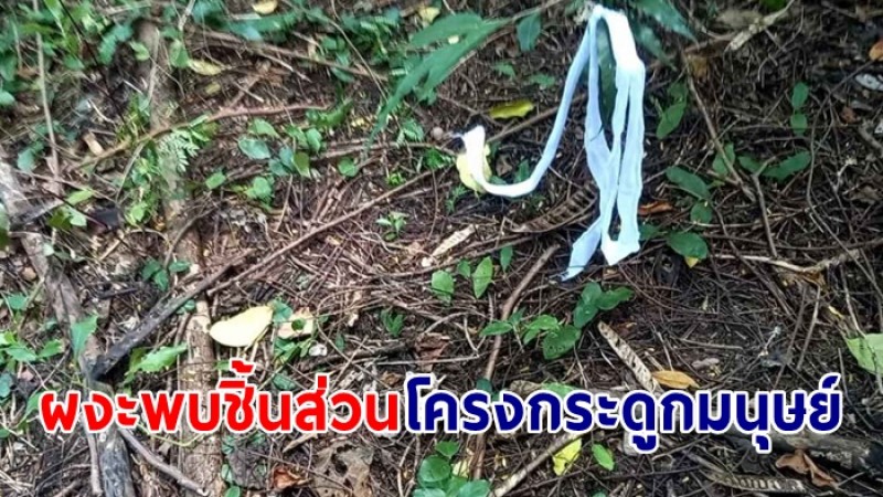 พบชิ้นส่วนโครงกระดูกมนุษย์ กระจาย7จุด ป่าร้าง ท้ายซอยลาดพร้าว101