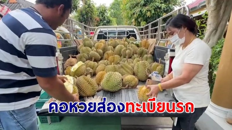 คอหวยส่องทะเบียนรถ! ผู้ใหญ่บ้าน ขนทุเรียน 500 กก. แก้บน “ พ่อแก่พันล้าน “ 