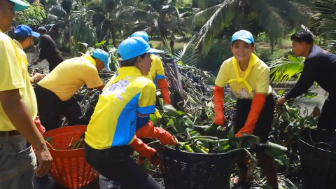 "ผู้ว่าฯชุมพร" นำพสกนิกรทุกหมูเหล่า ทำกิจกรรมบำเพ็ญสาธารณประโยชน์ถวายเป็นพระราชกุศลฯ