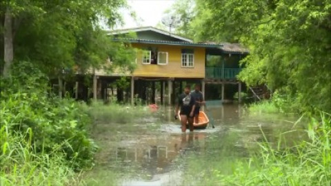 มวลน้ำล้นตลิ่งทะลักท่วม บ้านเรือนริมแม่น้ำน้อย-พื้นที่ลุ่มต่ำ อ.เสนา เมืองกรุงเก่า