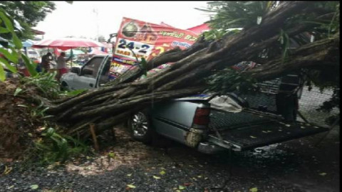 ลมฝนกระหน่ำ!! ตลาดนัดบ้านพริก พัดต้นไม้ใหญ่ล้มทับรถเสียหาย 5 คัน - อำเภอบ้านนา น้ำป่าหลาก ทะลักท่วมบ้านเรือนกว่า 10 หลัง