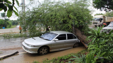 ฝนตกลมแรง!! พัด "ต้นมะขาม" ล้มฟาดรถเก๋งเสียหาย - ปิดเส้นทางขาเข้าเมืองราชบุรี