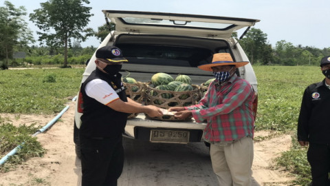 รอง ผอ.กอ.รมน.ประจวบฯ ช่วยซื้อแตงโม จากเกษตรกรเดือดร้อนโควิด-19 ทำพิษ นำไปแจกกำลังพลและข้าราชการ