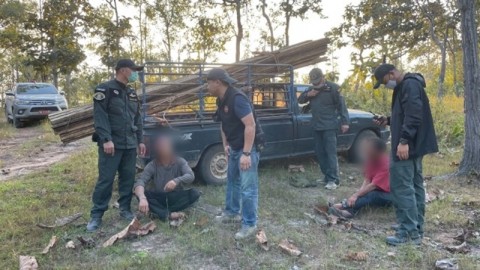 ตำรวจ บก.ปทส. จับแก๊งมอดไม้แอบตัดไม้ในป่าอมก๋อย