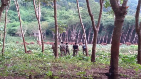 "ผอ.อช.ทองผาภูมิ" สั่งเฝ้าระวังช้างป่าออกนอกพื้นที่ สร้างความปลอดภัยแก่ประชาชน