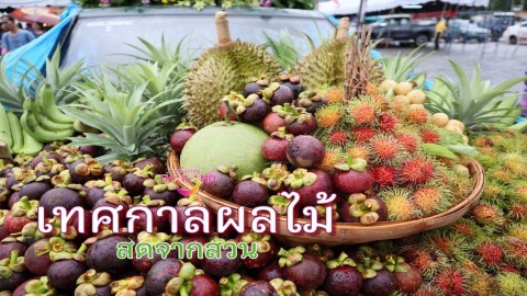 ททท.กาญจนบุรี ขอเชิญนักท่องเที่ยว เชิญเที่ยวในงาน "เทศกาลผลไม้ สดจากสวน" 24 - 26 มิ.ย. 65