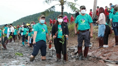 กฟผ.ร่วมปลูกป่าชายเลนจังหวัดชุมพรภายใต้โครงการ ปลูกป่าอย่างมีส่วนร่วม