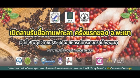 พะเยา นำร่องเปิดลานรับซื้อเมล็ดกาแฟ ครั้งแรกของจังหวัด ปรับตัวสู่พืชเกษตรมูลค่าสูง ด้วย "ก้าวสุขโมเดล"