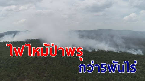 "พิษไฟไหม้ป่าพรุ" เมืองคอน เสียหายแล้วกว่า 5 พันไร่