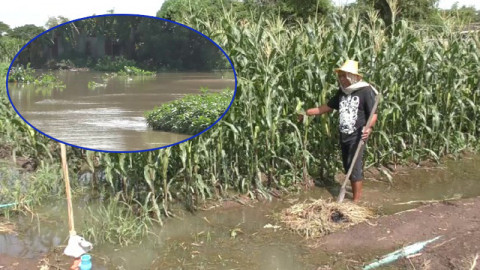 "เขื่อนเจ้าพระยา" เพิ่มการระบายน้ำ กระทบริมแม่น้ำน้อย น้ำทะลักท่วมพืชผักชาวบ้านเสียหาย