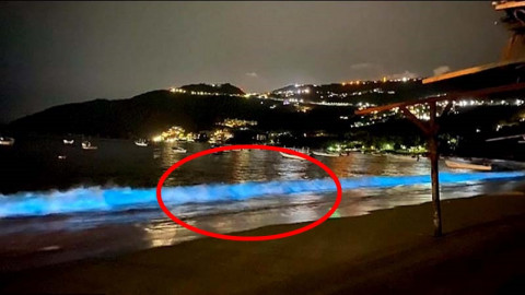 นานๆจะได้เห็น "ชายหาดเม็กซิโก" เรืองแสงอีกครั้งในรอบ 60 ปี หลังปิดล็อกดาวน์ประเทศ !