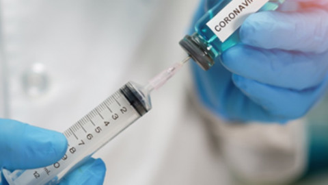 ไทย ทดลองฉีดวัคซีน โควิด-19 ครั้งแรก ในลิงแสม 10 ตัว