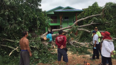พายุฝนพัดถล่ม ! "อ.สวรรคโลก" บ้านเรือนเสียหาย - ต้นไม้หักโค่น หลายหมู่บ้าน
