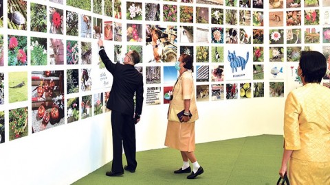กรมสมเด็จพระเทพฯ ทรงเปิดนิทรรศการภาพถ่ายฝีพระหัตถ์ ปี 63 “ชีวิตยามอยู่บ้าน: Life@Home”