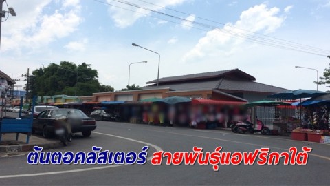 เผยต้นตอคลัสเตอร์สายพันธุ์แอฟริกาใต้ ในอ.ตากใบ พบครอบครัวลอบมาจากมาเลย์