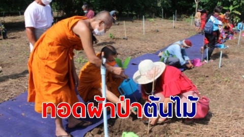 ทอดผ้าป่าต้นไม้ 8,910 ต้น ฟื้นฟูธรรมชาติ คาดอนาคตแลนด์มาร์คสำคัญ ต.ท่ากระดาน