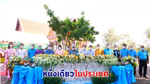 "เทศบาลตำบลปากน้ำประแส" จัดงานสืบสานประเพณีทอดผ้าป่ากลางน้ำ หนึ่งเดียวในประเทศ