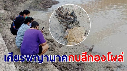 "เศียรพญานาค" โผล่วัดหลวงปู่ทิม มีกบยักษ์สีทองอยู่ข้างๆ
