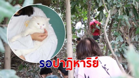 เจ้าของแมว "สุดหล่อ" ร่ำไห้รอปาฏิหาริย์ได้น้องกลับคืนมา หลังหายจากบ้านเกือบ 2 เดือน
