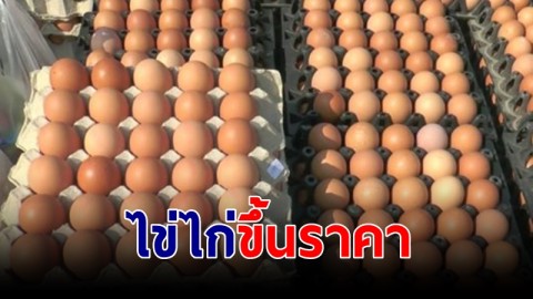 ไข่ไก่ ปรับขึ้นราคา 20 สตางค์ มีผล 6 ม.ค. นี้ จากฟองละ 3.40 เป็น 3.60 บาท