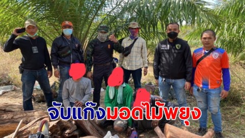 นอภ.ขุนหาญจับกุมมอดไม้พยุง 45 ท่อนพร้อมยาบ้า 24 เม็ด ผู้ต้องหา 3 ราย