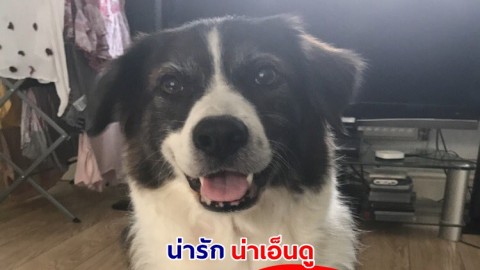 ลูกสาวขอให้แม่หยิบสายชาร์จโทรศัพท์ให้ แต่งานทั้งเซอร์ไพรส์ และเอ็นดู
